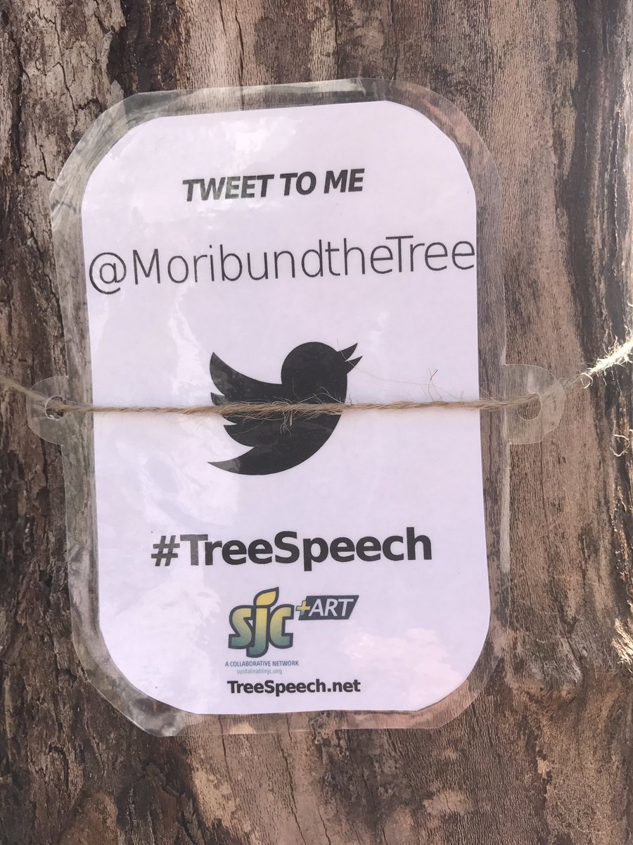 MoribundtheTree's tweet photo. Loving my new tree tag. All the neighbors are checking me out. #treespeech https://t.co/Np9TIWjpCM