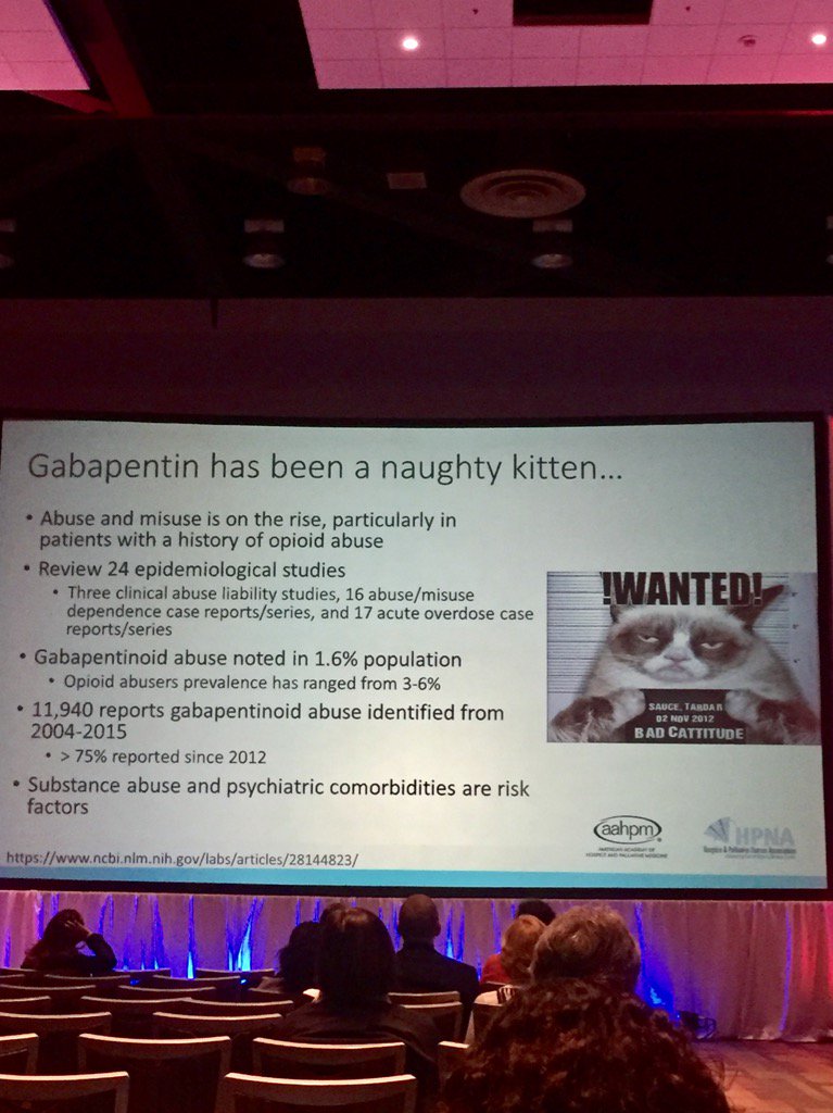 Top_Gundersen's tweet image. It&apos;s a cat-astrophe!  Gabapentin abuse is on the rise. @mlmcpherson #hpm17