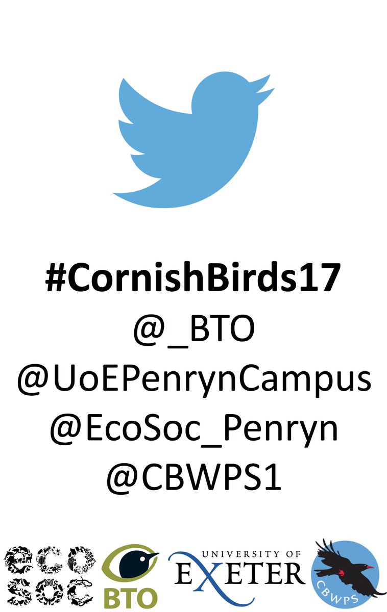A fantastic #CornishBirds17 event comes to an end: superb talks &amp; brilliant turn-out. Great to meet everyone and big thanks to all involved!