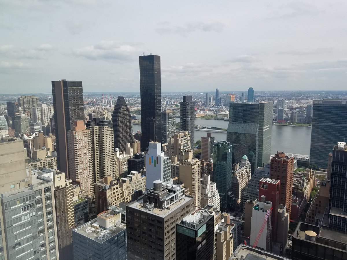 exploridea's tweet image. I wander how birds flying over our cities  perceive this forest of buildings. Do they see it as natural forest?