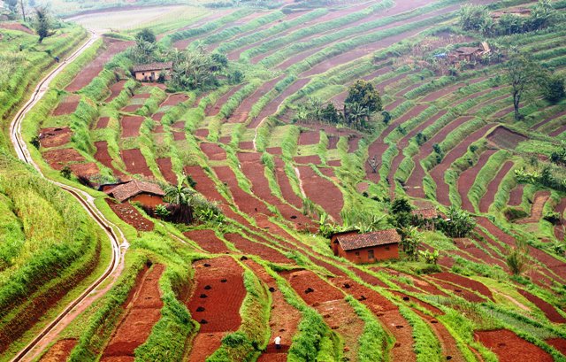 MINAGRI&amp;RAB has implemented hillside irrigation 2increase productivity&amp;Commercialization of hillside agriculture <a href="/g_mukeshimana/">GerardineMukeshimana</a> <a href="/MarkBagabe/">Mark Bagabe</a>