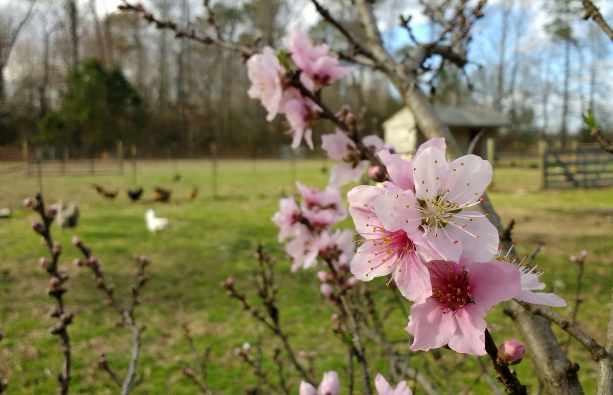 Happy Saturday! Hope you can get outside today! #optoutside #spring