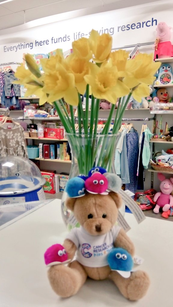 CRUKKidsNA's tweet photo. The #Clutterbugs weren't sure if you could #missionspringclean a bear but if anyone was going to let them try it was #Archie #CRUKbuddies https://t.co/o8x7cRAld6