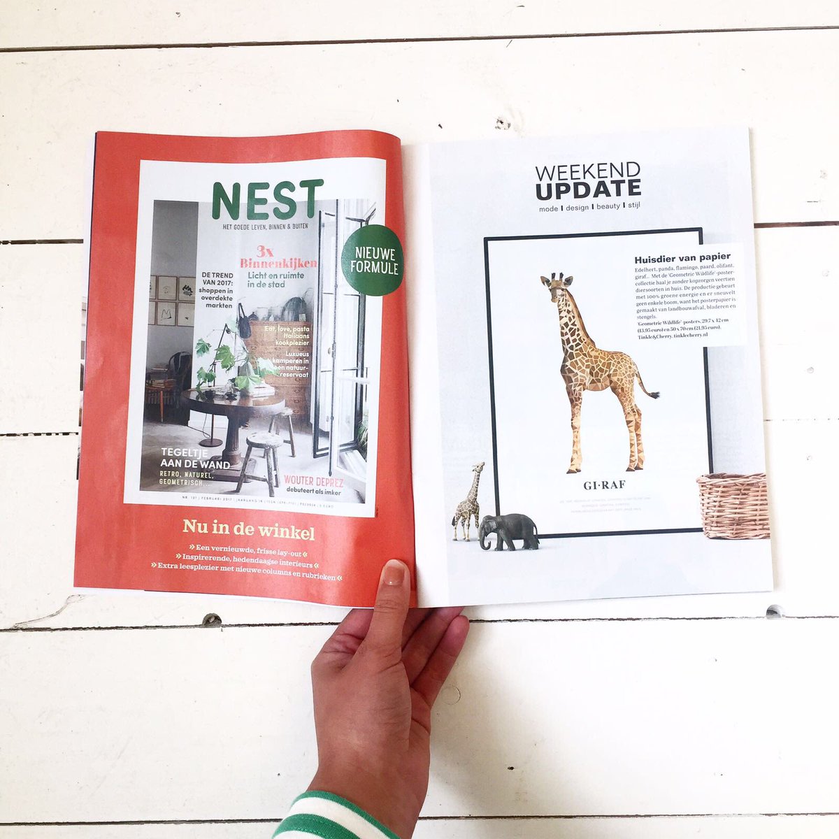 Onze poster op papier van landbouwafval, in het Belgische blad #KnackWeekend  #duurzaam #landbouwafval #duurzaamondernemen #dutchdesign #eco