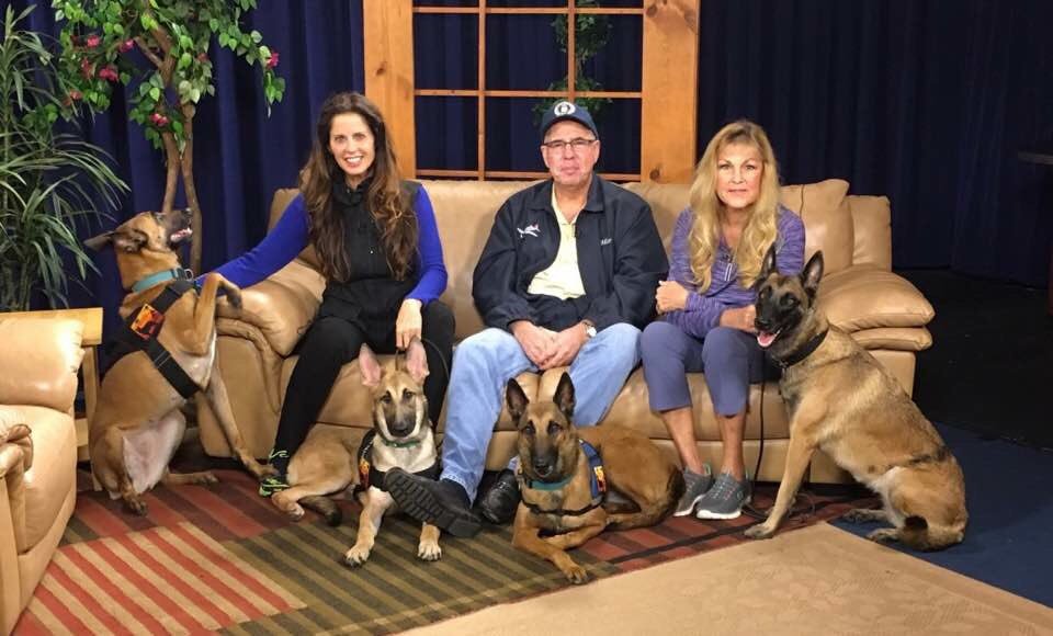 markfl58's tweet image. 