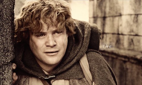 Happy Birthday Samwise Gamgee (Sean Astin).  \"There is some good in the world Mr. Frodo\"  