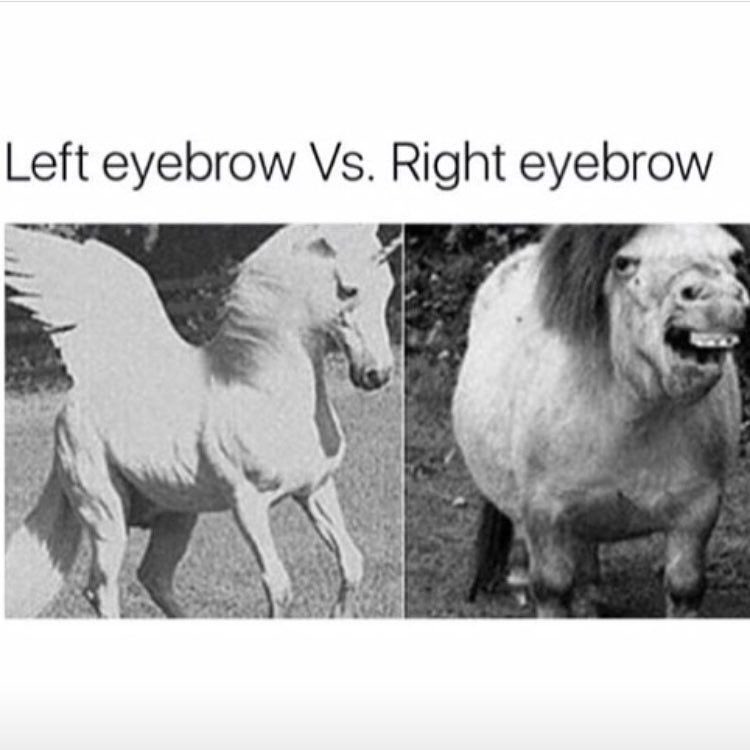 BaBertram's tweet photo. The struggle is real today. #brows #truth #browsareeverything https://t.co/ZFZCZ4c4CG