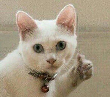 Alextrxm's tweet photo. quand quelqu'un me donne son avis sur la façon dont je devrais vivre ma vie https://t.co/9mGxJbXAbb