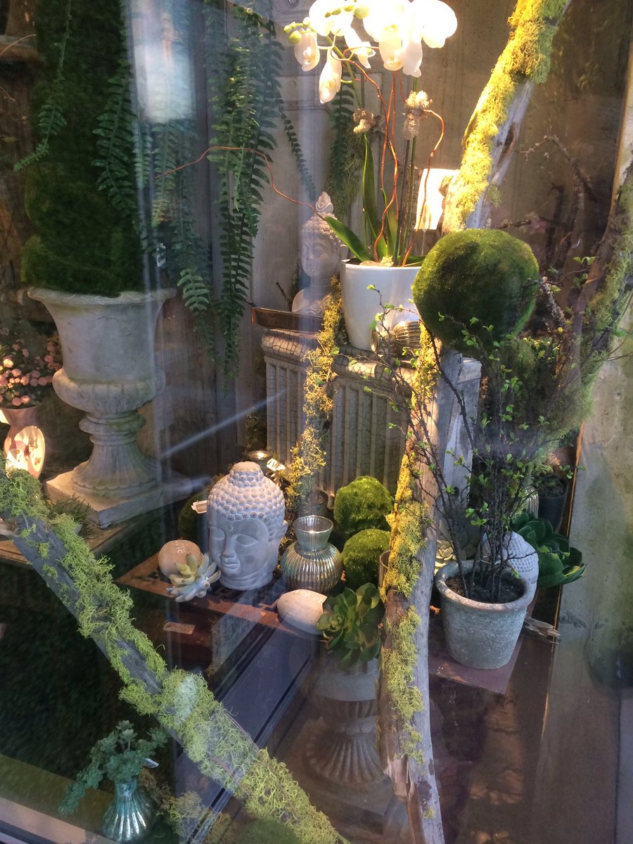 Come by and check out our new widow displays