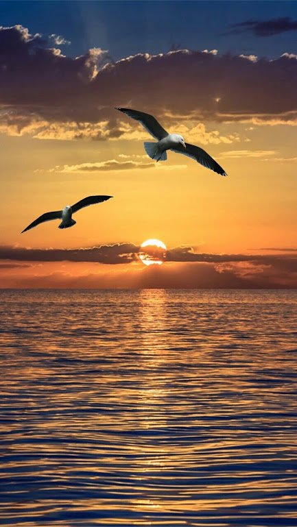 Gün bitiyor diye Yüzün Gölgelenmesin.
Bak ! Ne diyor Güneş ; 
''Ölmedim Ya !
''Yarın Yine Geleceğim''

Hayırlı huzurlu akşamlar🌄
<a href="/nesine35/">🇹🇷MERYEM🇹🇷KPLN🌟RT♻</a>