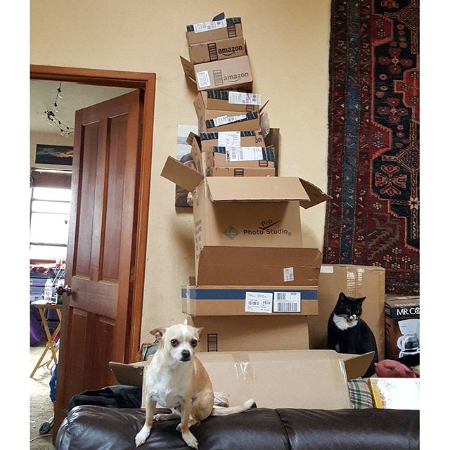 The kind of things cats dream about... Empty boxes for days. #PrimePet #Caturday
