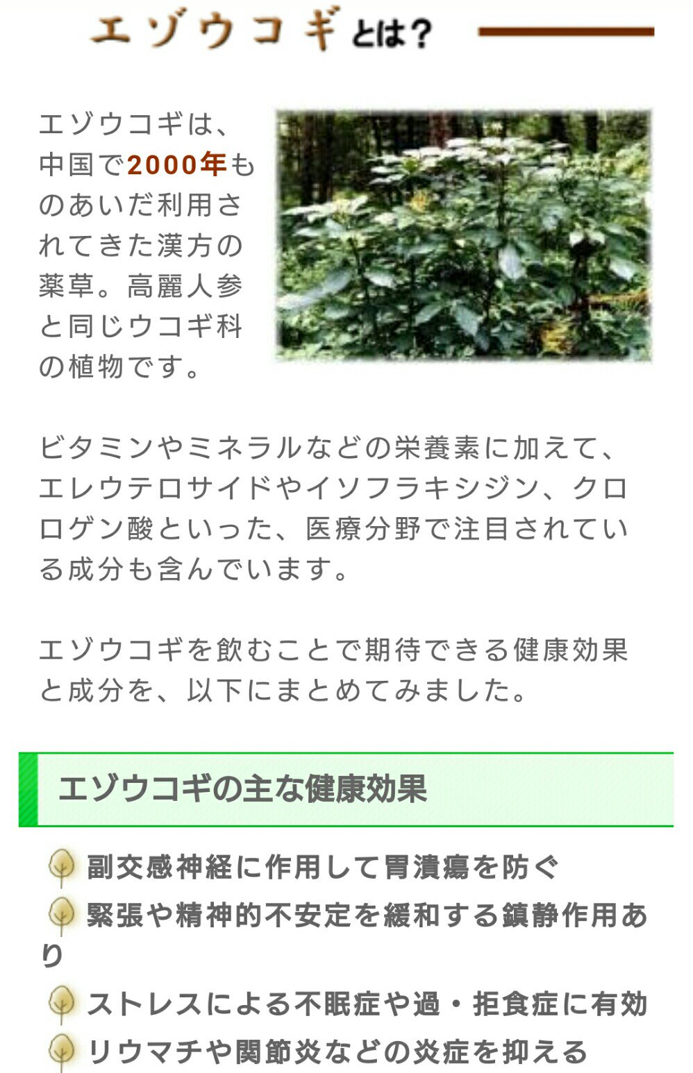 エゾウコギ Twitter Search Twitter