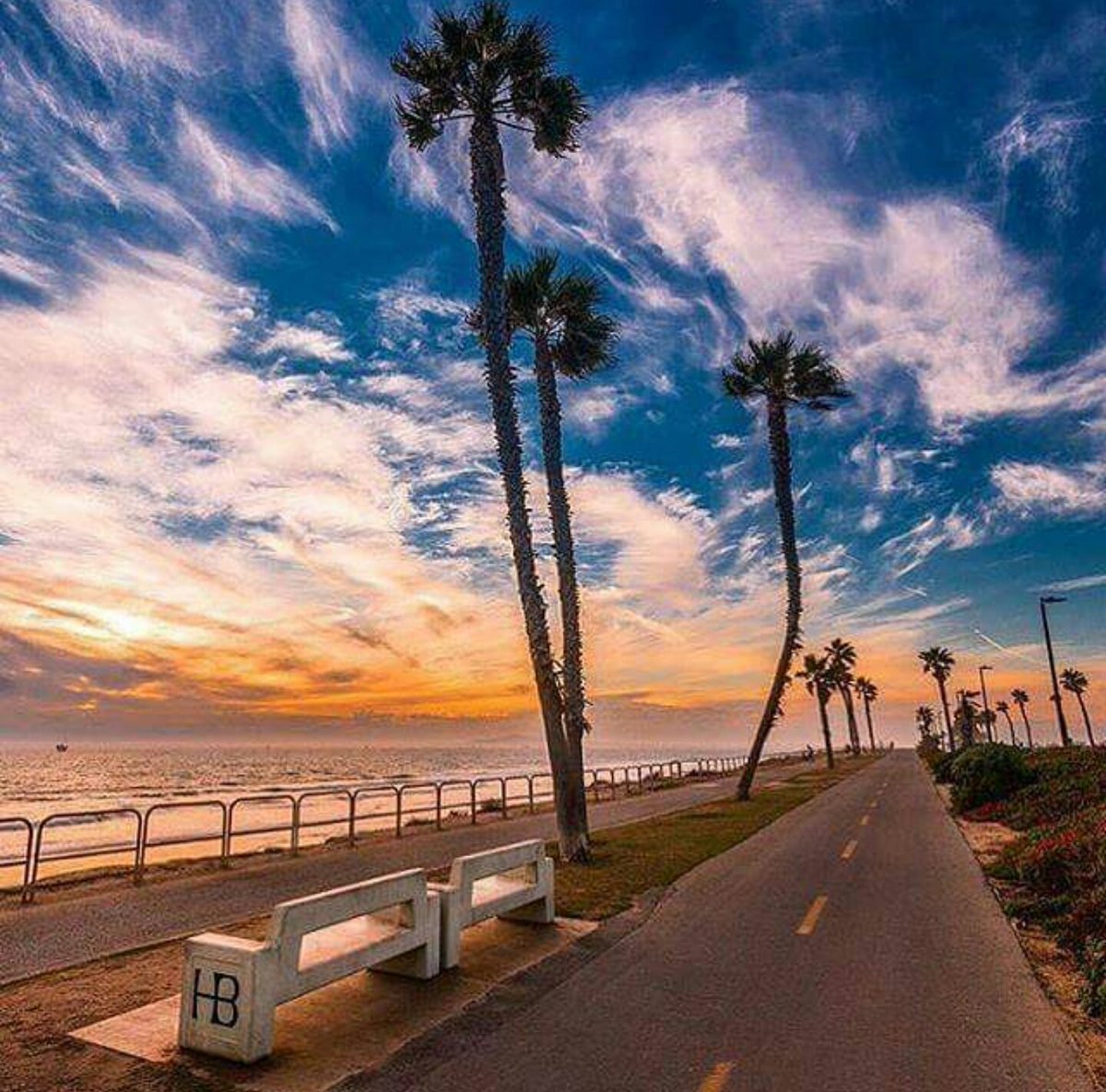 hbtami33's tweet photo. California Dreamin'
📷 by toddrx via Instagram 
#huntingtonbeach #hblove #california #californiadreamin #socal #hblife #beach https://t.co/9fo8Diz4AM