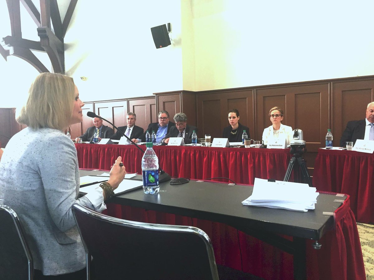 elephantsdc's tweet photo. Ann Clingan Lewis, @elephantsdc vp, calls for the end of ivory sales during the #Pennsylvania Judiciary Hearing on Feb. 24 #ValueTheElephant https://t.co/DHB9XpyBOZ