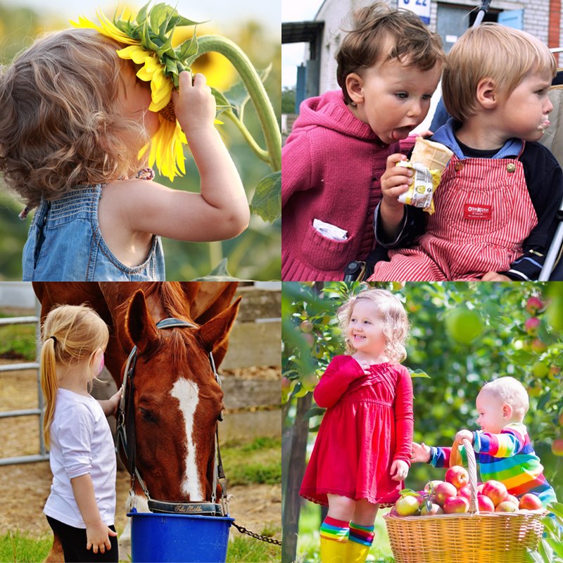 DemeterCEO's tweet image. When you think of your favorite Demeter Fragrance(s), what special memory or event do they remind you of? #DemeterWantstoKnow #ScentMemory