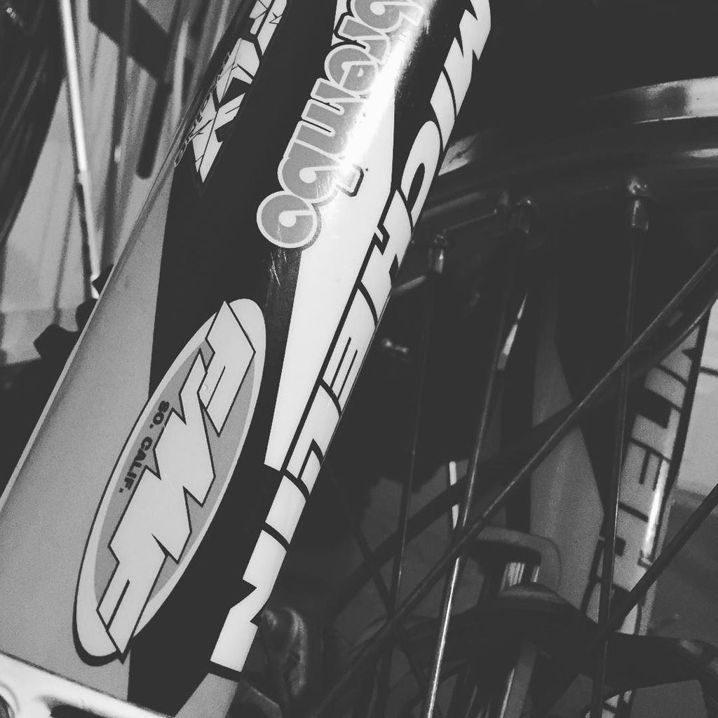 MizShift's tweet image. Is it spring yet? I've got a new toy to brap on! #Offroad