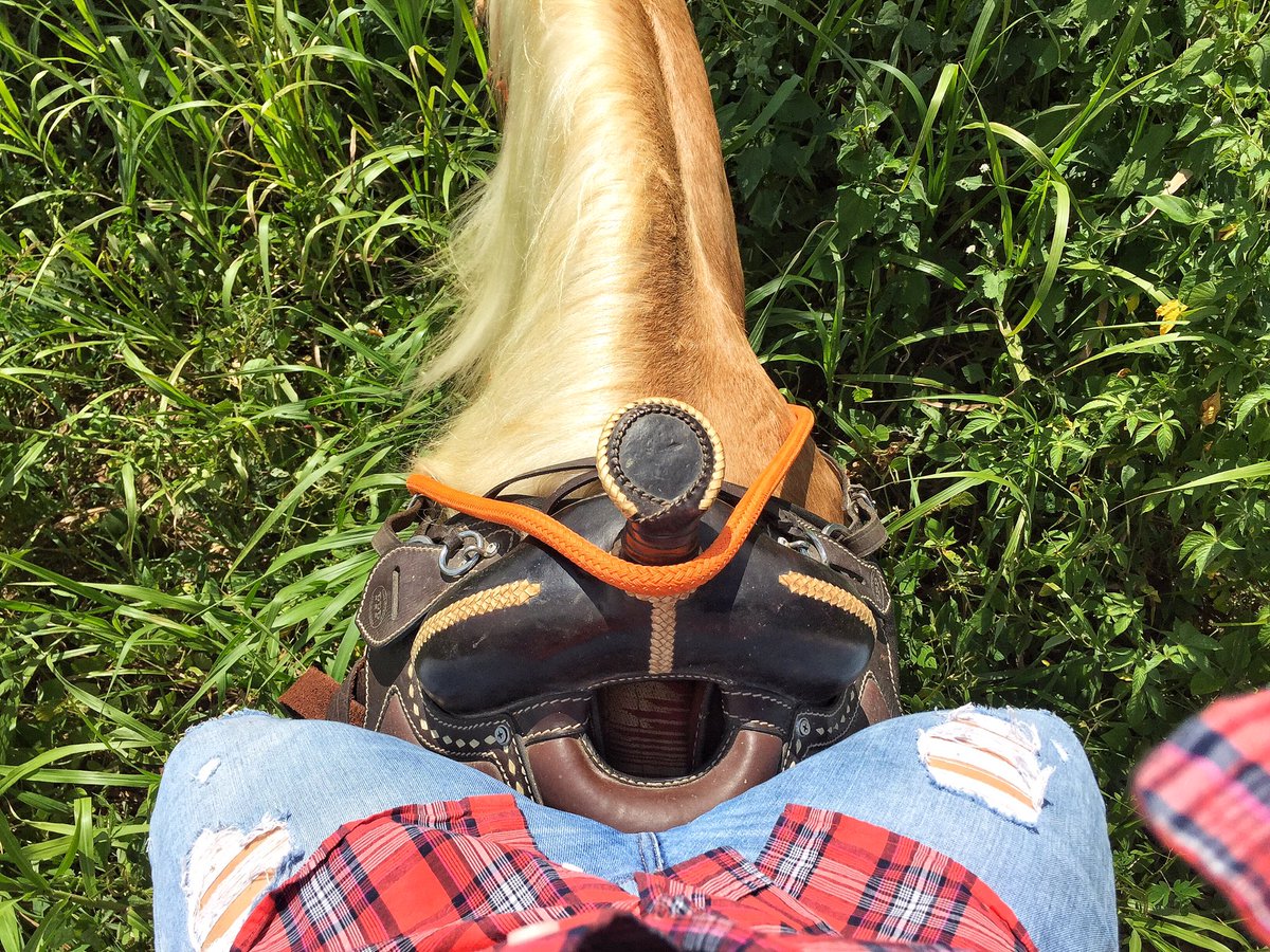 AVirus17's tweet image. Spent the day w/ J today, think he enjoyed it 💜 #WeekendJob