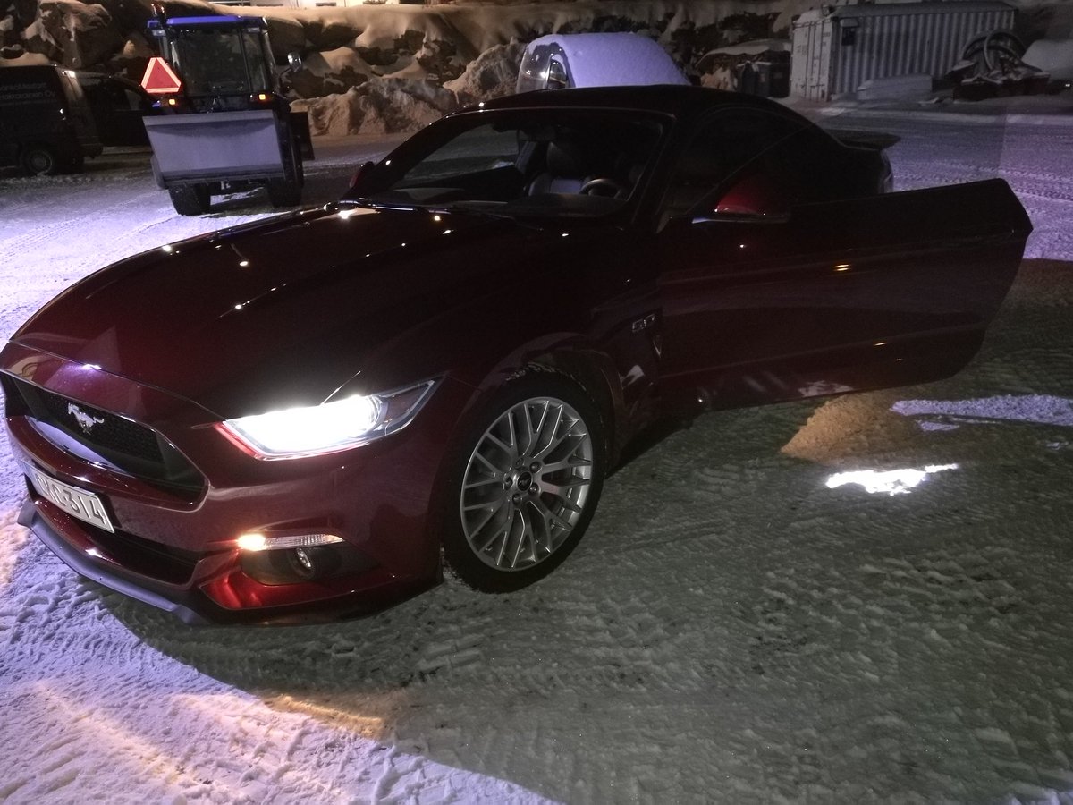 Guilietta__'s tweet photo. #Mustang #Mustangproud #luxurycars #v8 #FordMustang https://t.co/35ZOMhNIEl