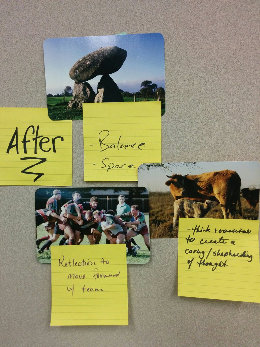 _missroya's tweet image. Upon reflection...It was good to be at #EcoGather17 😊 Thanks for having me @AlbertaEcotrust 🌿 #CoLabAB