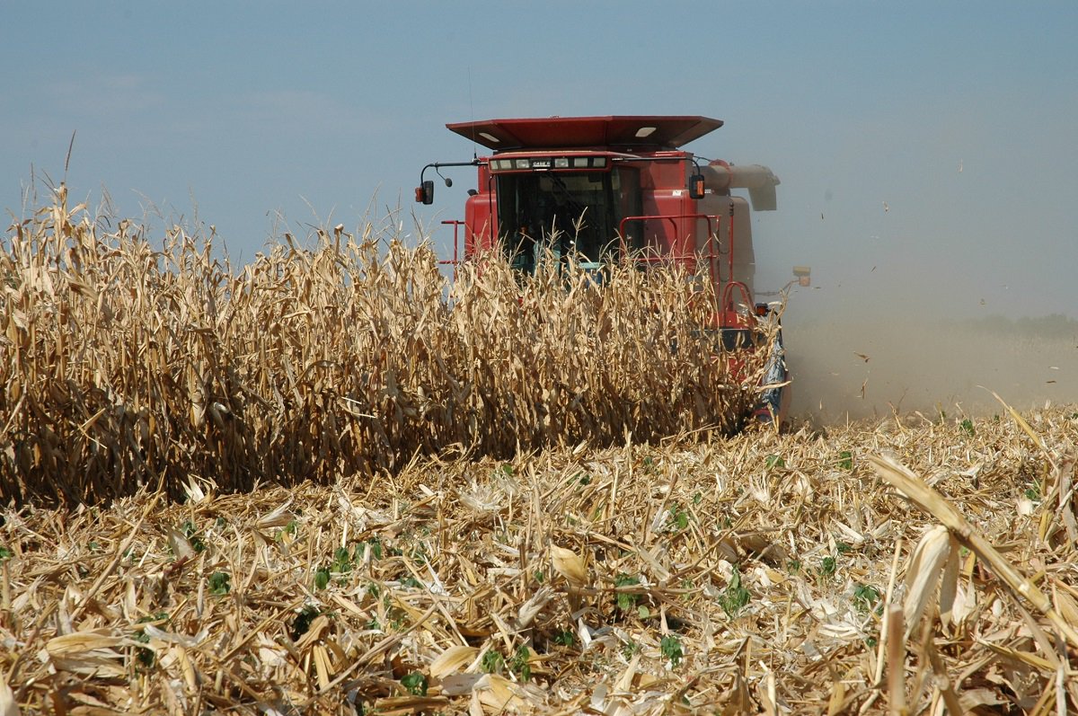 farmpress's tweet image. #TradeIssues could hurt #CornMarket ht.ly/iSNg309iRou