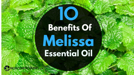 nobodyproblems's tweet photo. Top 10 Benefits Of Melissa Essential Oil And How Can You Use It?
https://t.co/isJSaj3azt
#Melissa #essentialoil #ESSENTIAL_OILS https://t.co/q3llIgm7wJ
