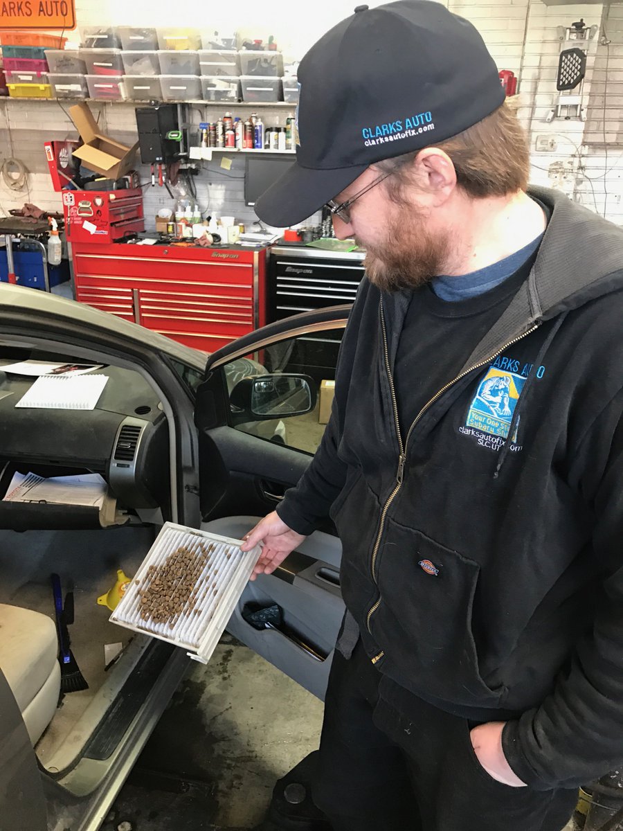 It seems like a small rodent found a great pace to hide his stash. One more reason to have #ClarksAuto inspect your vehicle!