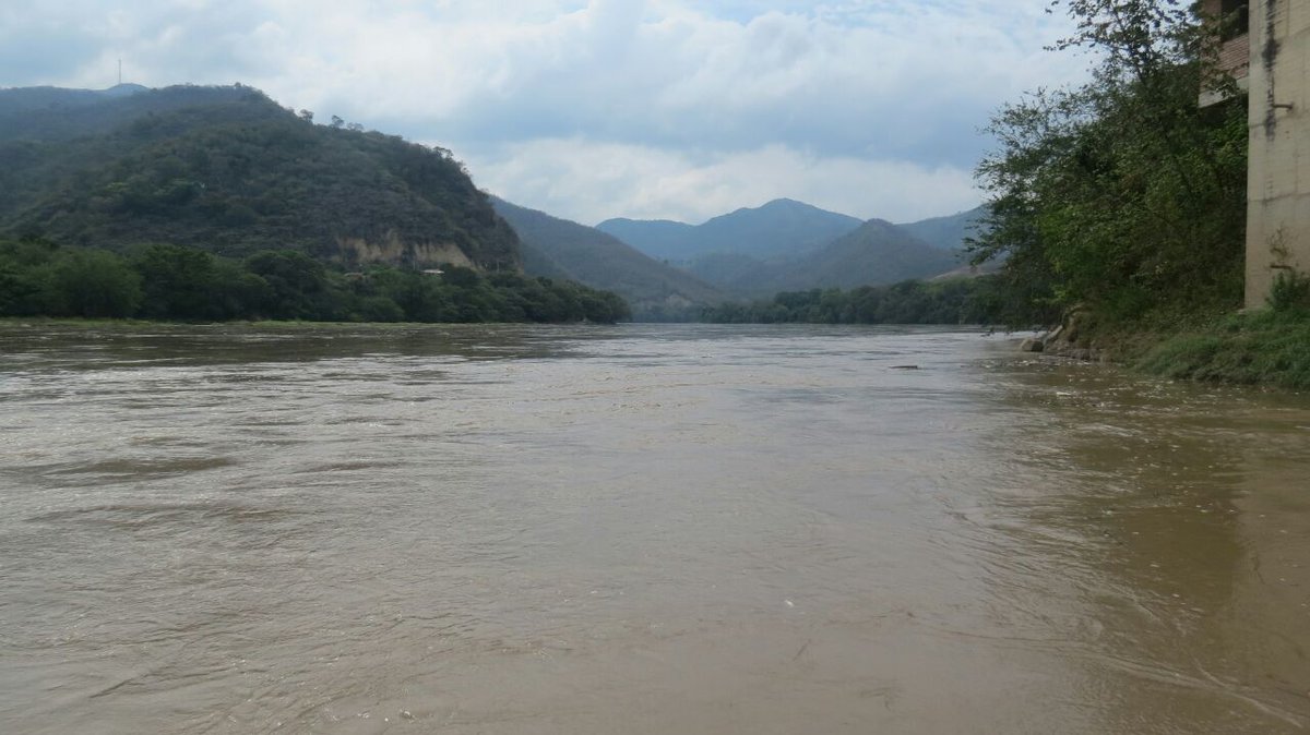 vozdeltolima's tweet photo. Mortandad de peces en el Río Magdalena a su paso por el Tolima. Baja en el oxígeno habría provocado la #emergencia. @Cortolima https://t.co/ufU0JVIof2