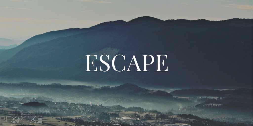 bespokeLA's tweet photo. Find us escaping under the palms...#saturday #LAescape #escape https://t.co/SRizdfhAe1