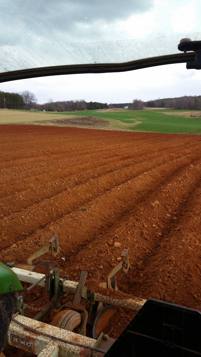 RobertMillsJr2's tweet photo. Tobacco season officially beginning in Southside Va bedding land and getting ready for the 2017 crop. https://t.co/YKl1hGjJEu