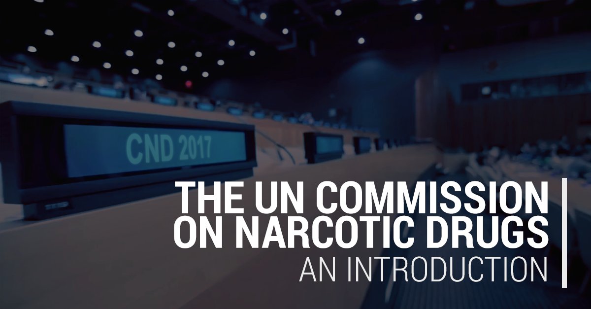 IDPCnet's tweet photo. The UN Commission on Narcotic Drugs - An introduction | Webinar | Thurs., 2 March w/@AllianceinIndia & @icsdp https://t.co/4ZAvBWjcCO https://t.co/NLWFvbevHw