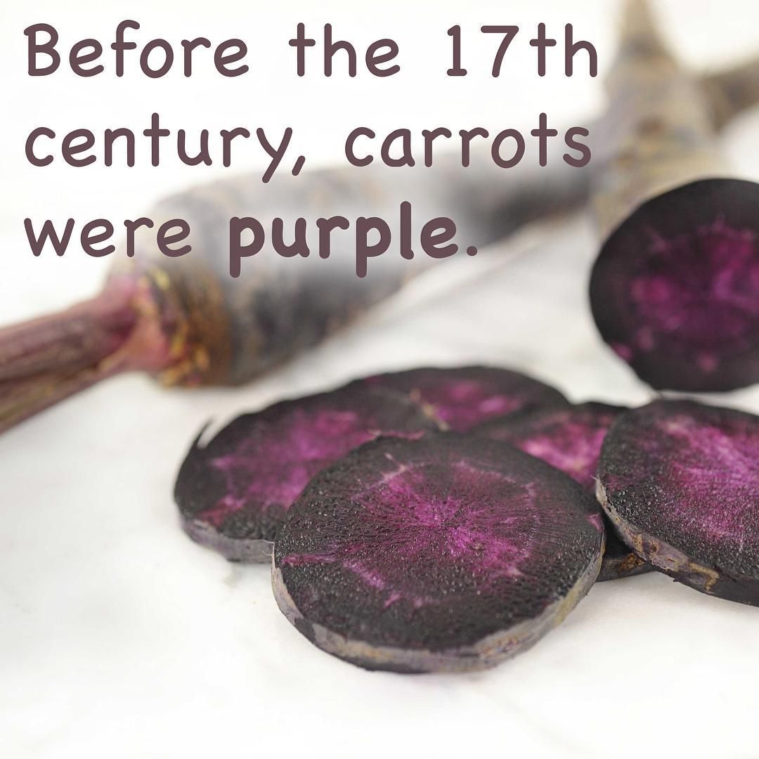 isitbadforyou's tweet photo. Carrot fun fact! #isitbadforyou https://t.co/7DYJNv0OAC