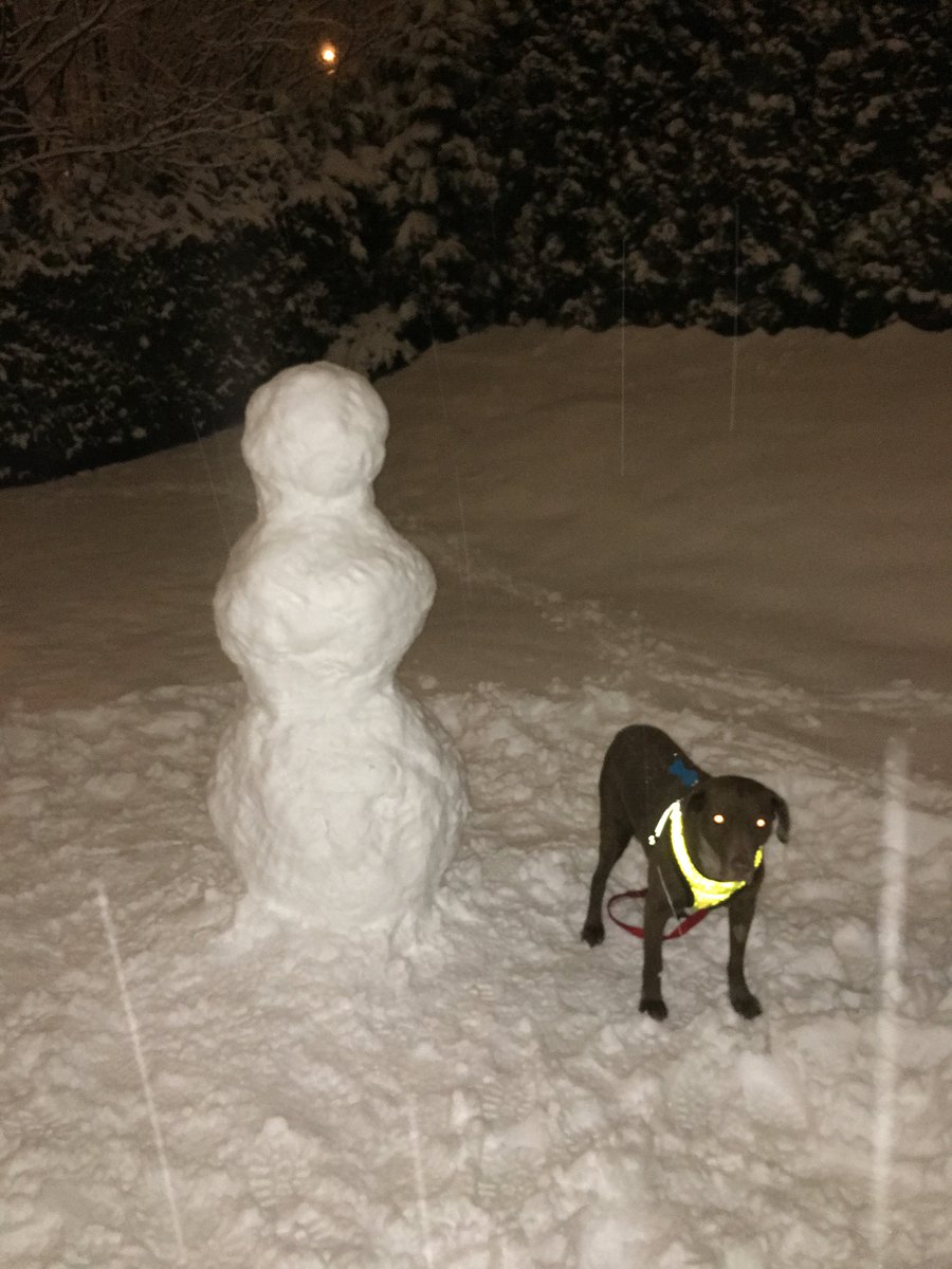 JahrenLabLab's tweet image. ME RN LOL THE KID MADE THAT