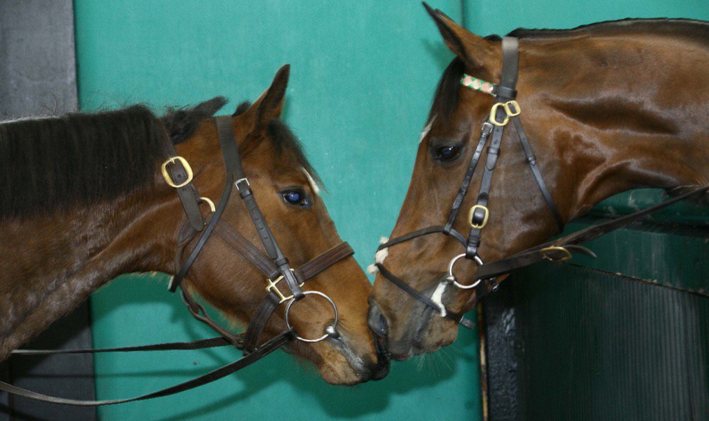 DJFiske's tweet photo. Another https://t.co/g6mjlU8V5c dating success story- #Untapable #Frankel https://t.co/Ml2qjQIdBO