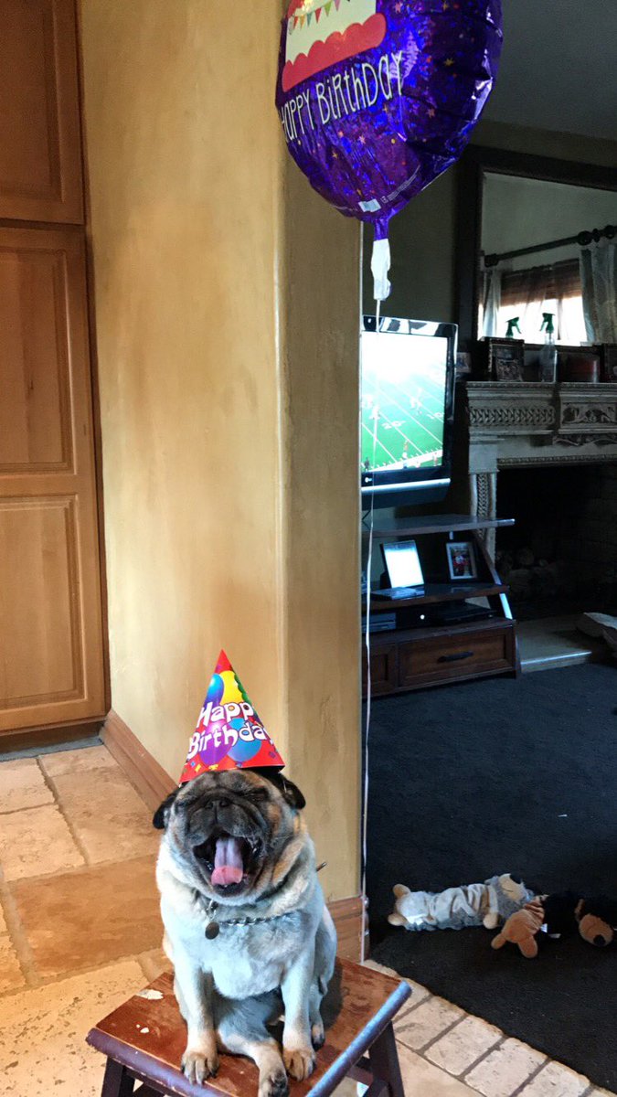 angelinaaknight's tweet photo. It's not even her birthday.. she just likes the attention;') https://t.co/d6jPBGiHR7