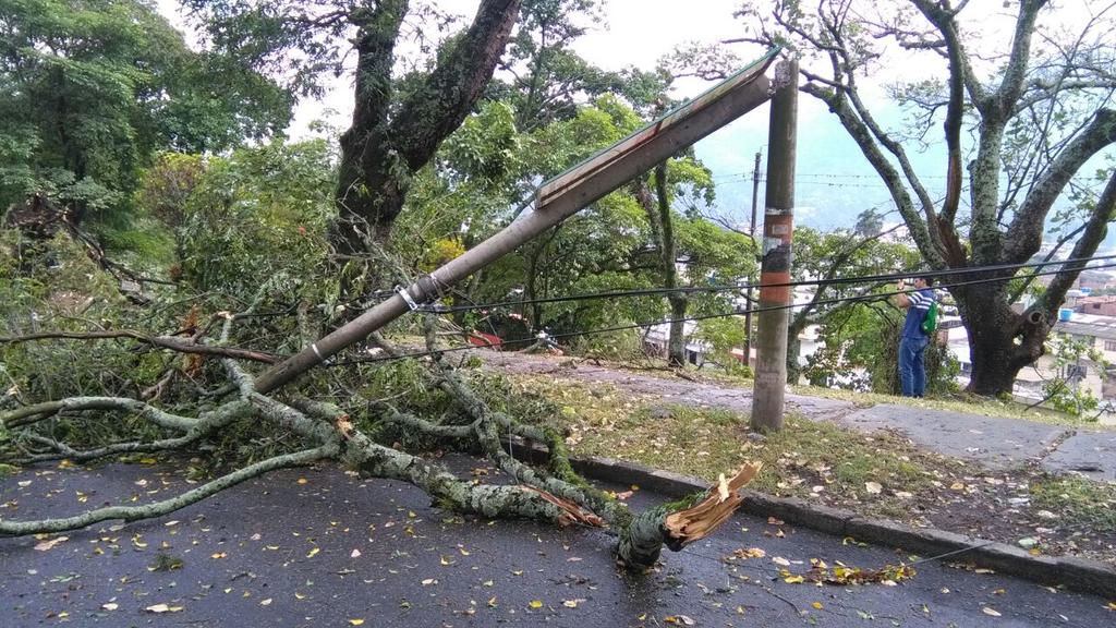 vozdeltolima's tweet photo. Borrasca en #Ibagué  provoca emergencias por inundaciones y caídas de árboles y postes de #energía. https://t.co/mZsG5u2QGW