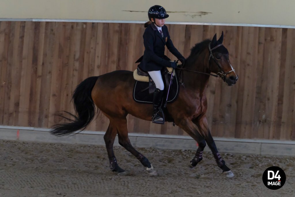 D4Image's tweet image. Going back to the world of eventing! #horses #jumping#eventing