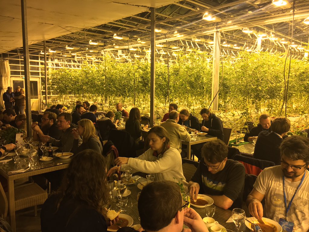 Drupal devs eating together in front of hanging tomato plants in a greenhouse