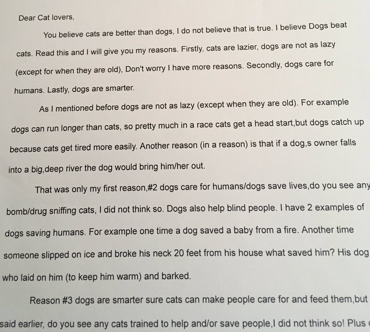 essay on everyone should have a pet