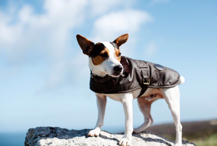 When the wind catches your ears 🙊🍃