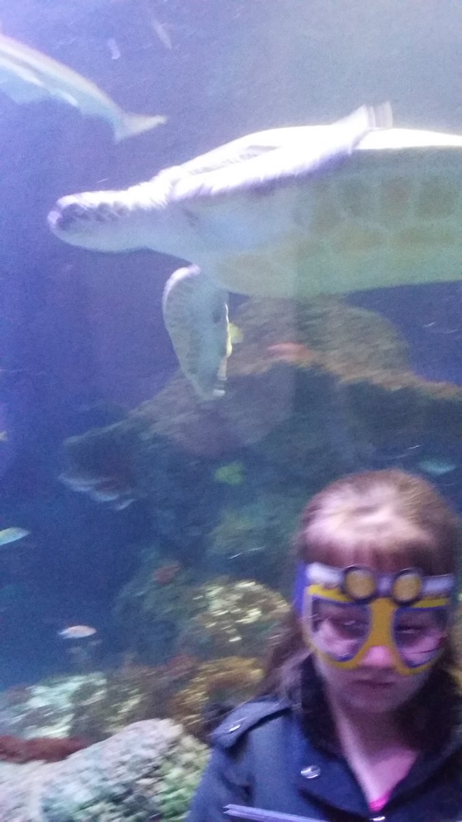 Emma22052009's tweet photo. Random reading at the Sealife centre and Trafford Centre. The fishes were very interested in the book! https://t.co/y0rJU0iDfe