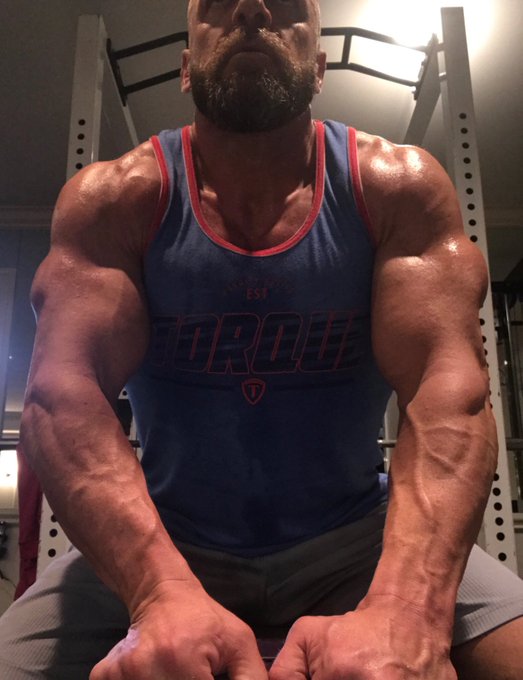 Triple H Workout and Diet Program – Fitness Volt