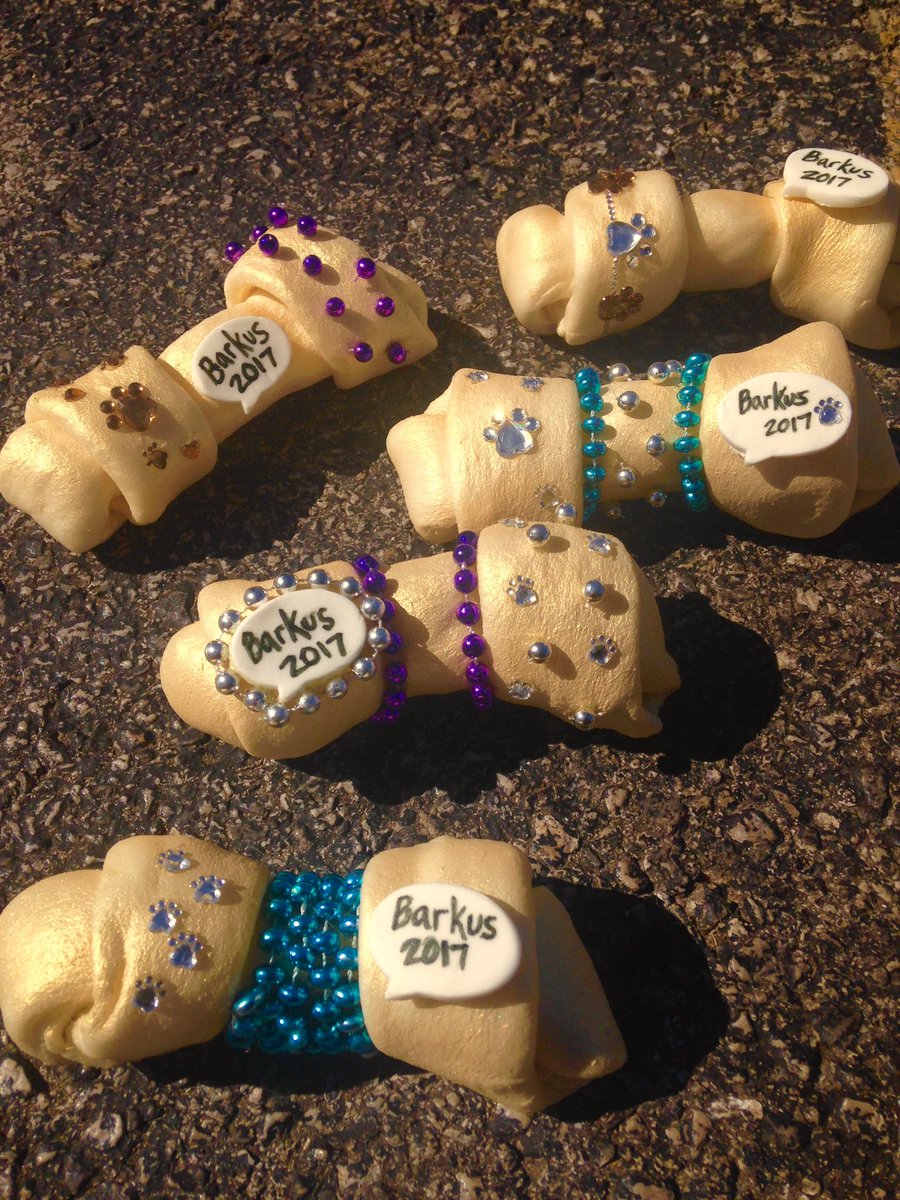 lauren_cheevers's tweet photo. That's a wrap on the 2017 Fayetteville Mardi Gras Parade of Fools. The Krewe of Barkus is headed home. #UAgras17 https://t.co/cW7OBjkRR1