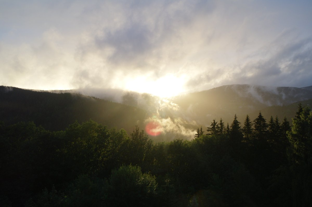 WikingerArt's tweet image. #nature #Wikingerart