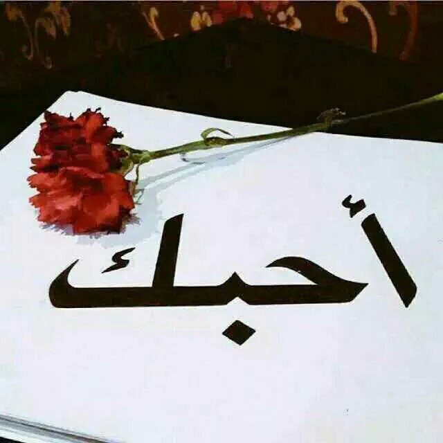 احبك وليحب بلوه 💑اواحبج وليحب بلوه💑