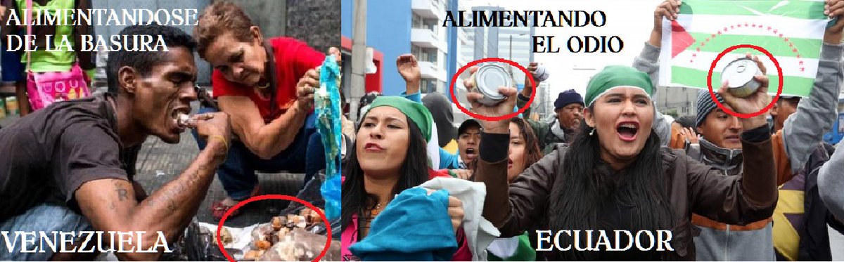 textoenvivo's tweet photo. No hay ejemplo más exacto de como "condujo" al país Tesorito
que el "episodio" de los atunes desperdiciados por "ciudadanos" pagados https://t.co/XMUCPWkAhf