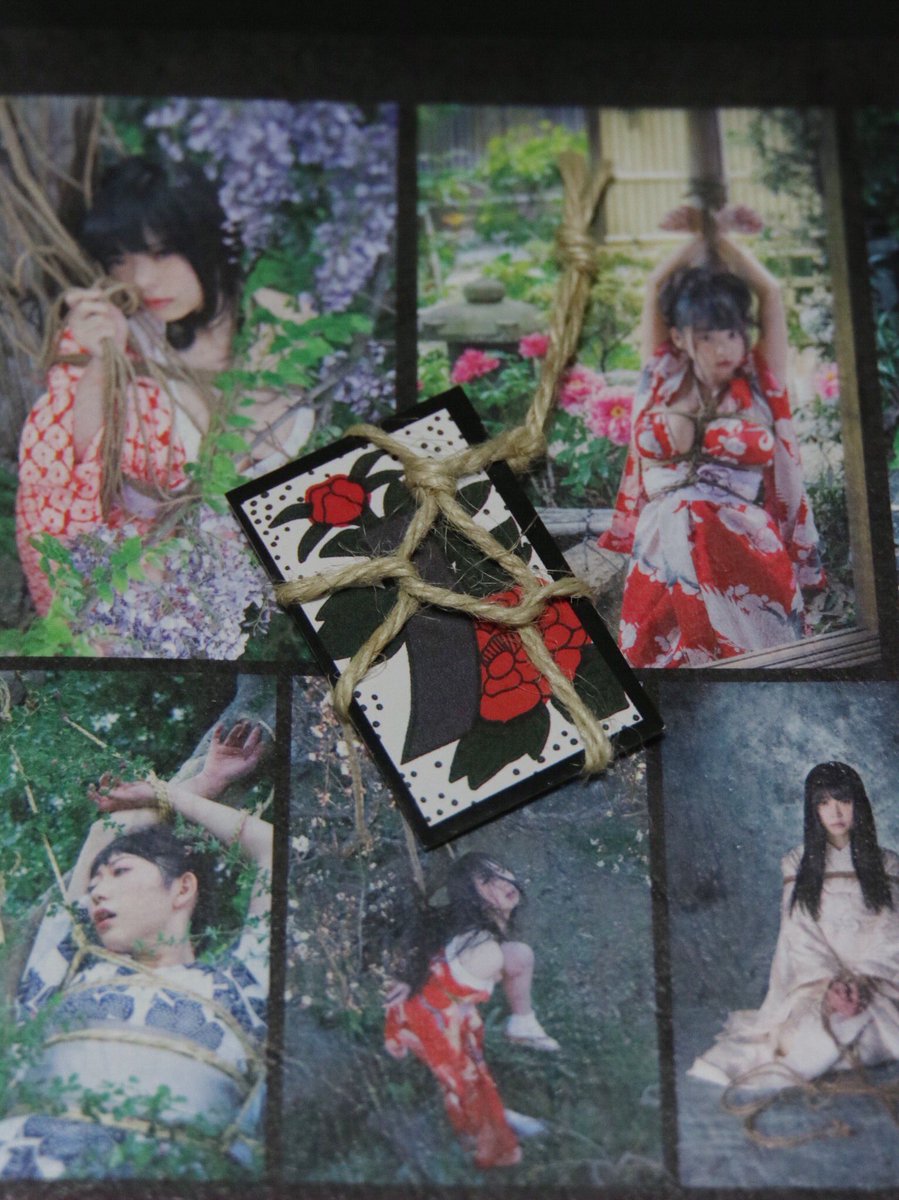 青山ひかる緊縛 #花札緊縛美人 Hajime Kinoko展 にて写真集購入！ 赤根京さん、吉岡愛花さん、ツナマヨさん、七菜乃さん、青山ひかるさん、真咲南朋さん他豪華モデルさんたち、アイデアとこだわりが目一杯詰まった大満足の一冊です。  会場で緊縛花札もいただきました ...