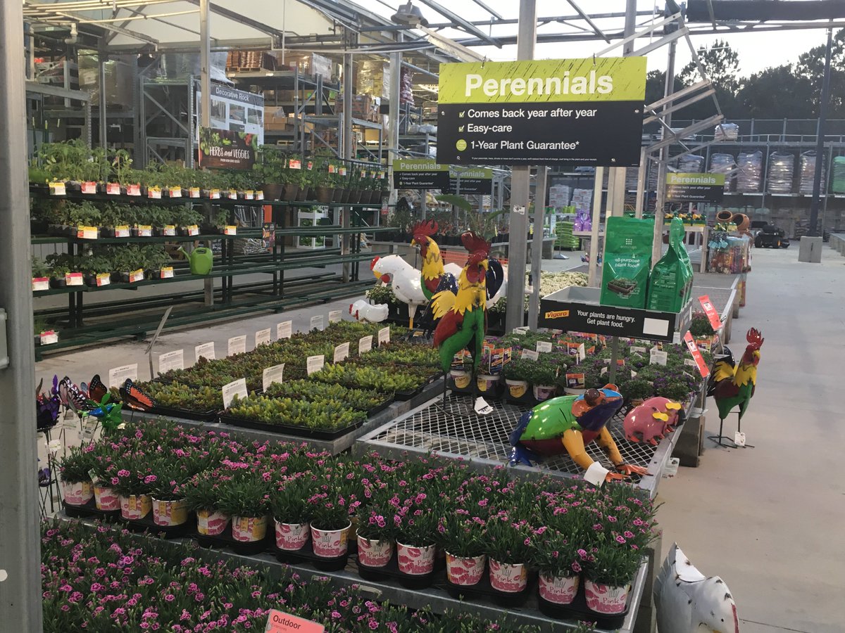 PPSKare's tweet photo. Springing it ON; from dusk 2 dawn🌗THD 3629 Wilm NC A Live Goods Leader🌸🍏🍓Dig Spring @Nichole_Hd @brianwebber3655 @JacobRobertsTHD @PPSinHD https://t.co/f1KedFza7I