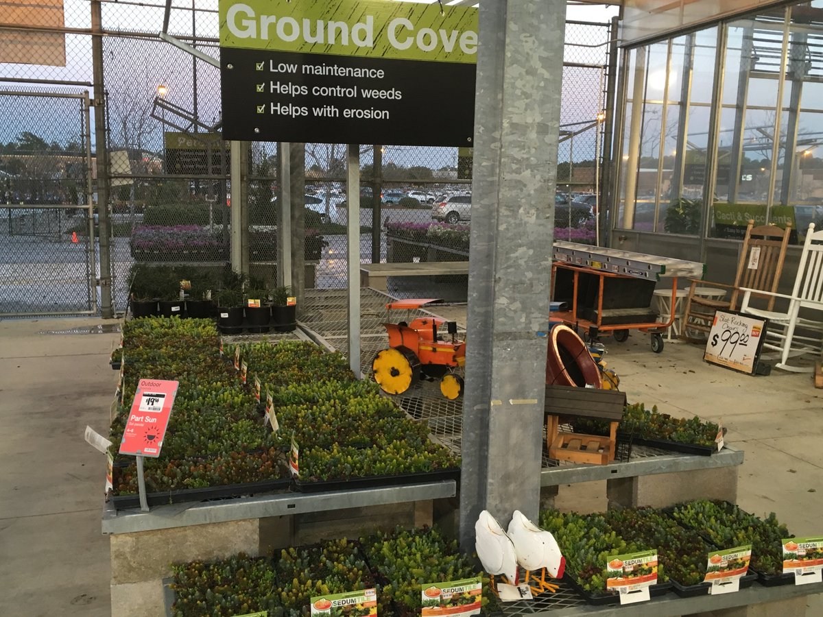 PPSKare's tweet photo. Springing it ON; from dusk 2 dawn🌗THD 3629 Wilm NC A Live Goods Leader🌸🍏🍓Dig Spring @Nichole_Hd @brianwebber3655 @JacobRobertsTHD @PPSinHD https://t.co/f1KedFza7I