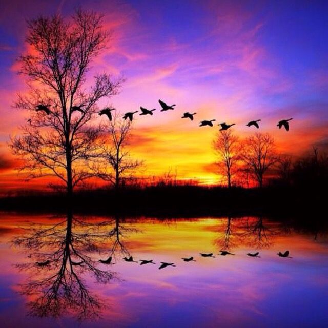 HerriottScott's tweet photo. Dear Heavenly Father
Allow Your Face to shine upon us every
waking day ~ Shine your Lamp unto our
Path and your Light unto our feet ~ Amen https://t.co/u6ls1yWqy9