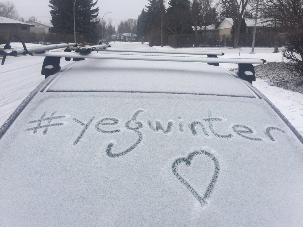 Glenn Kubish tweet media